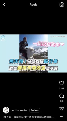 Taiwan tv show ouka flying dog